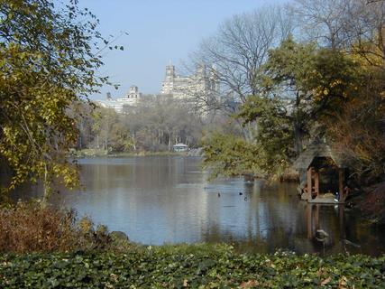 Wagner Cove, Central Park<br>Location: <a href="https://www.google.com/maps/search/?api=1&query=40.77439,-73.97336" target="_new">Wagner Cove, Central Park</a>